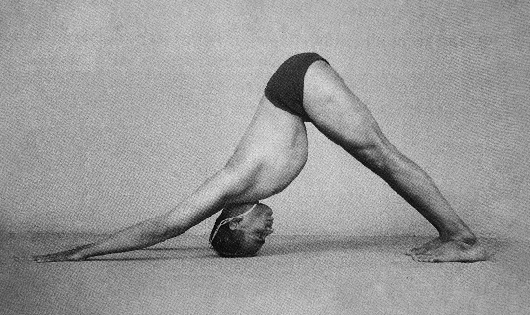 Iyengar Yoga House