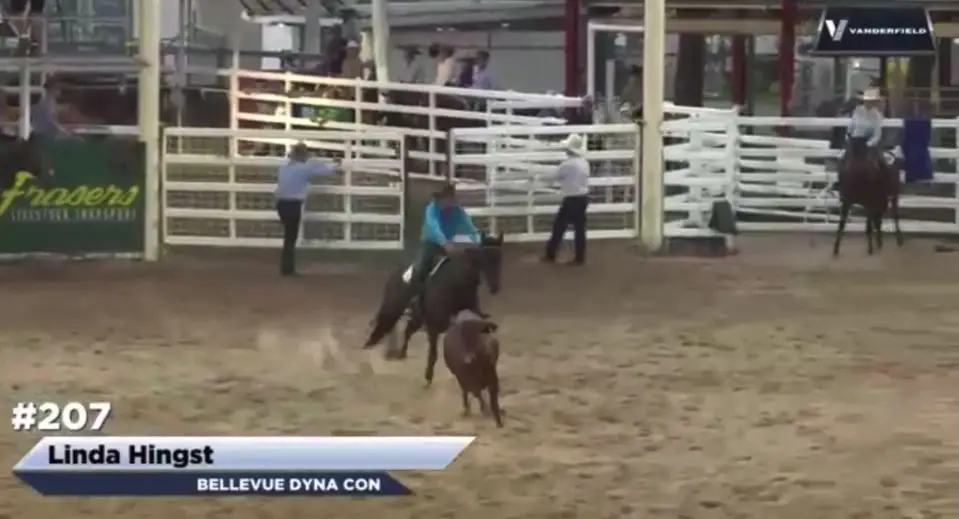 Kilcoy Cow Horse Club