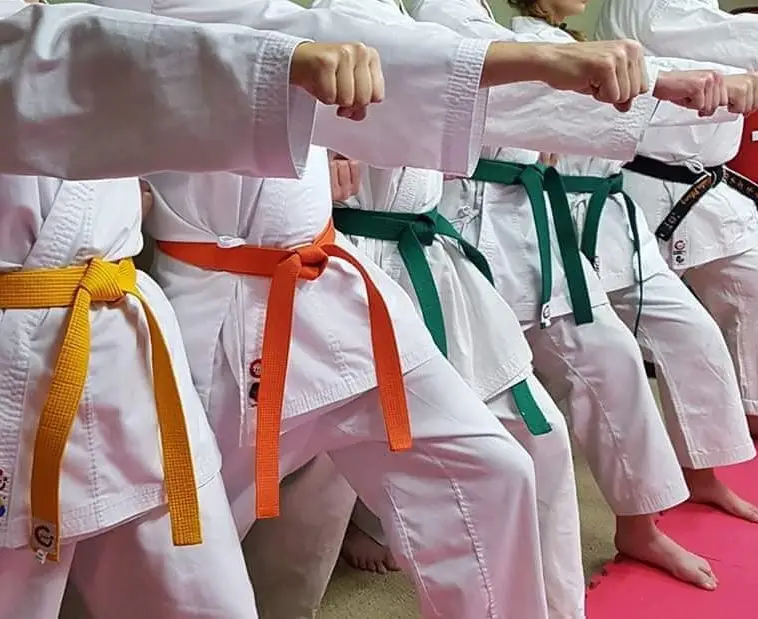 Way of Life Martial Arts