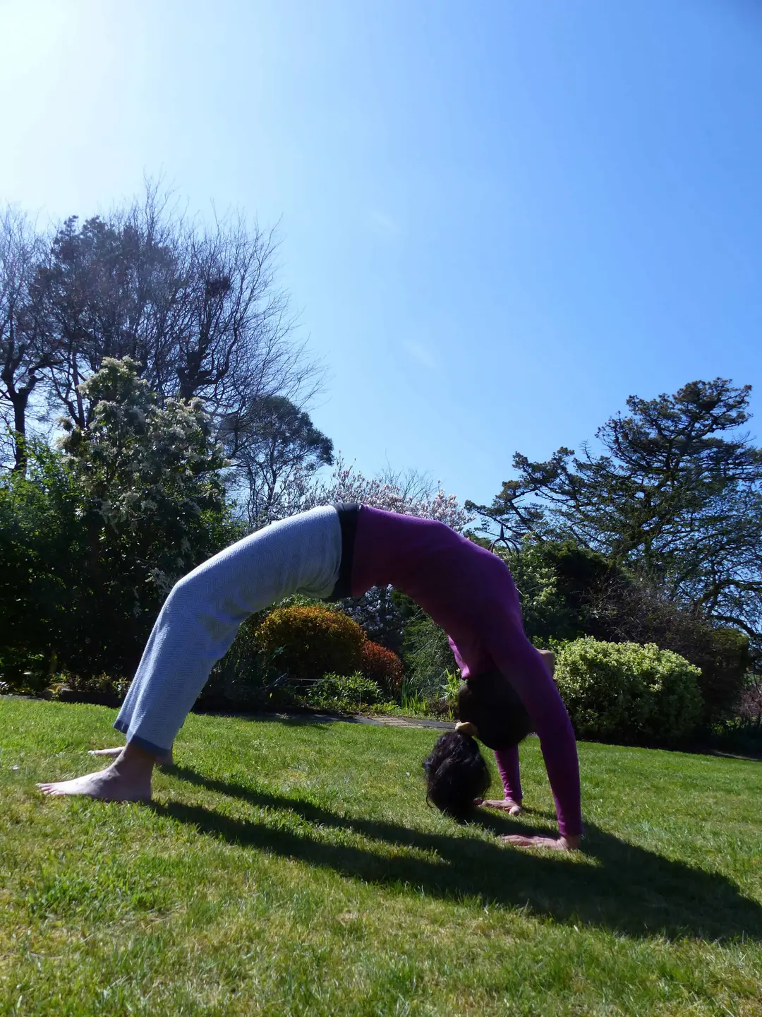 YogaDevon - mindful yoga, meditation and holistic therapies across North Devon