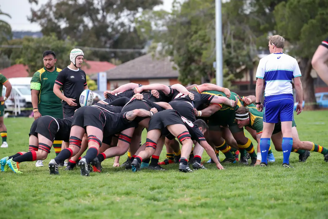 South Australian Rugby Union Ltd