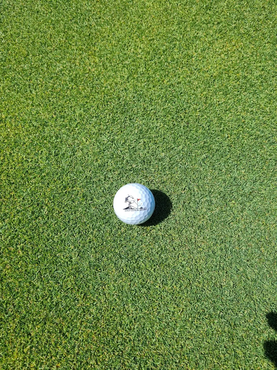 Amicale Golf Club Balagne
