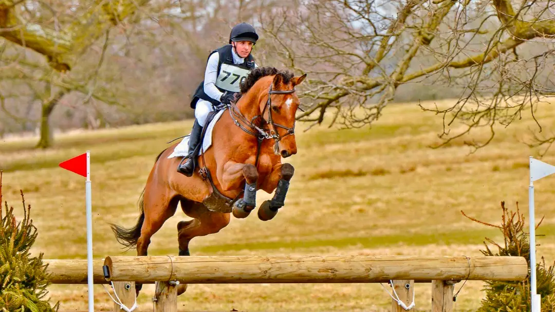 Park View Equestrian Centre