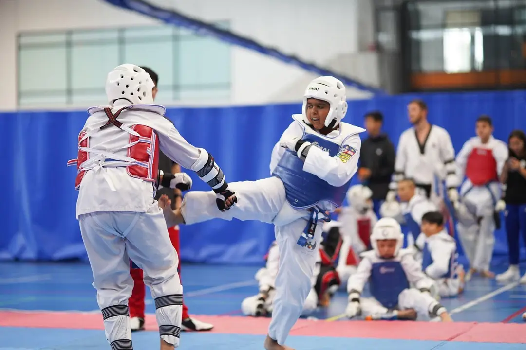 Martial Arts Spirit Ingleburn