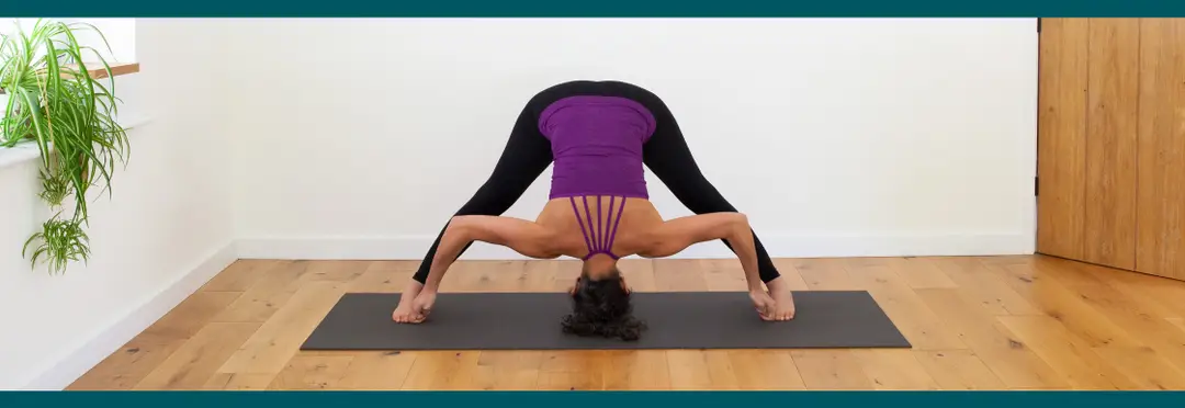 Nelumbo Yoga