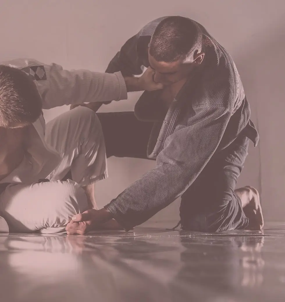 Nexus BJJ