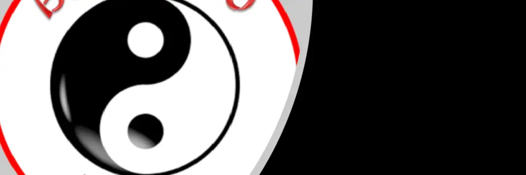 Budo Ryu Karate Academy St Marys 