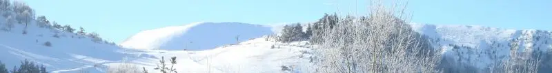 Les Signaraux