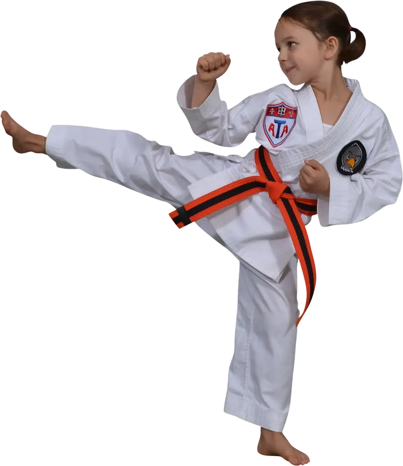 Aspire Martial Arts
