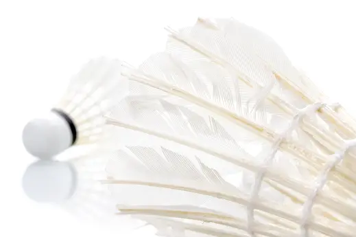 Newick Badminton Club