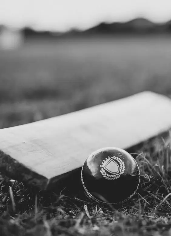 Topline Cricket