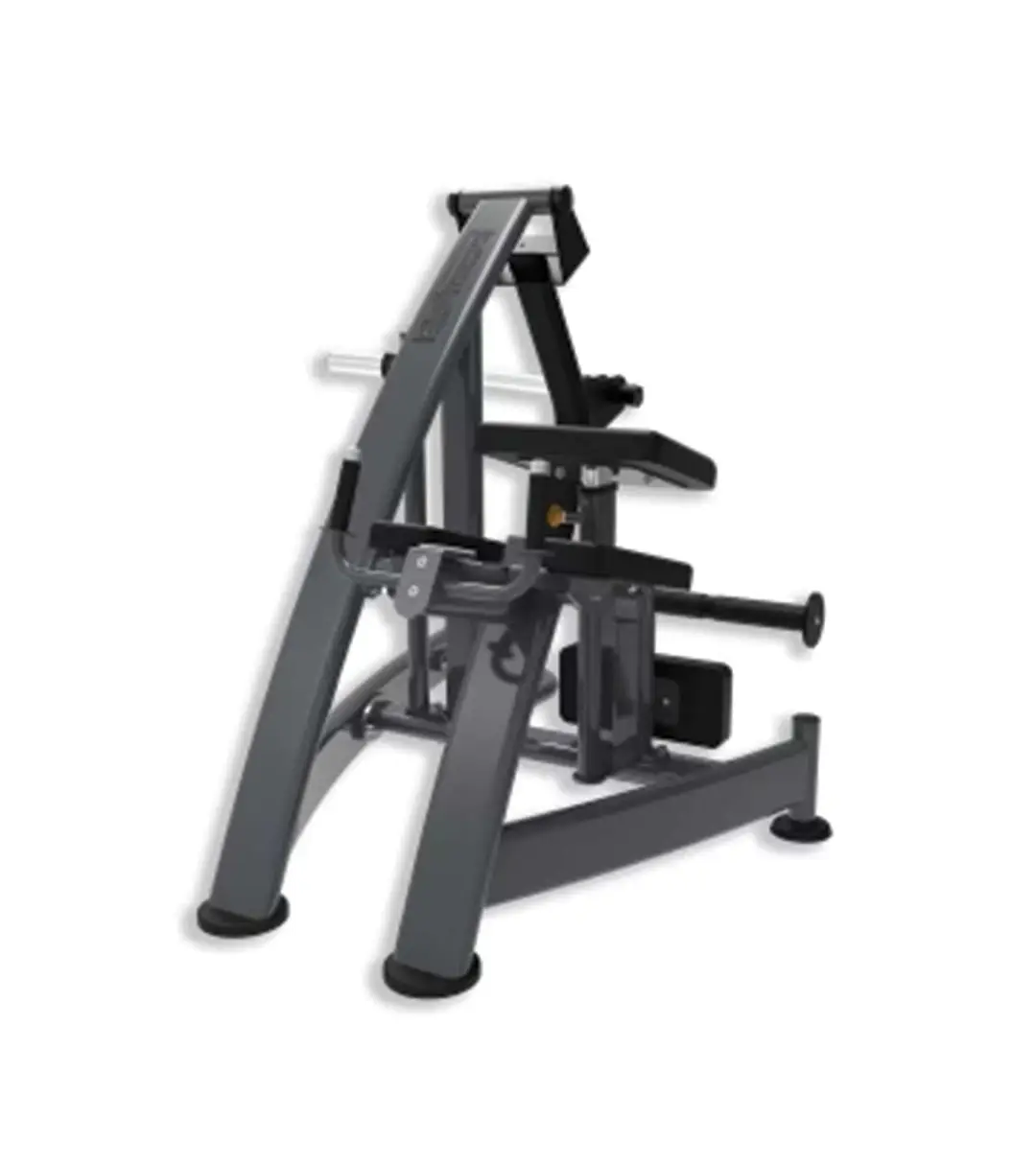 Synergy Fitness