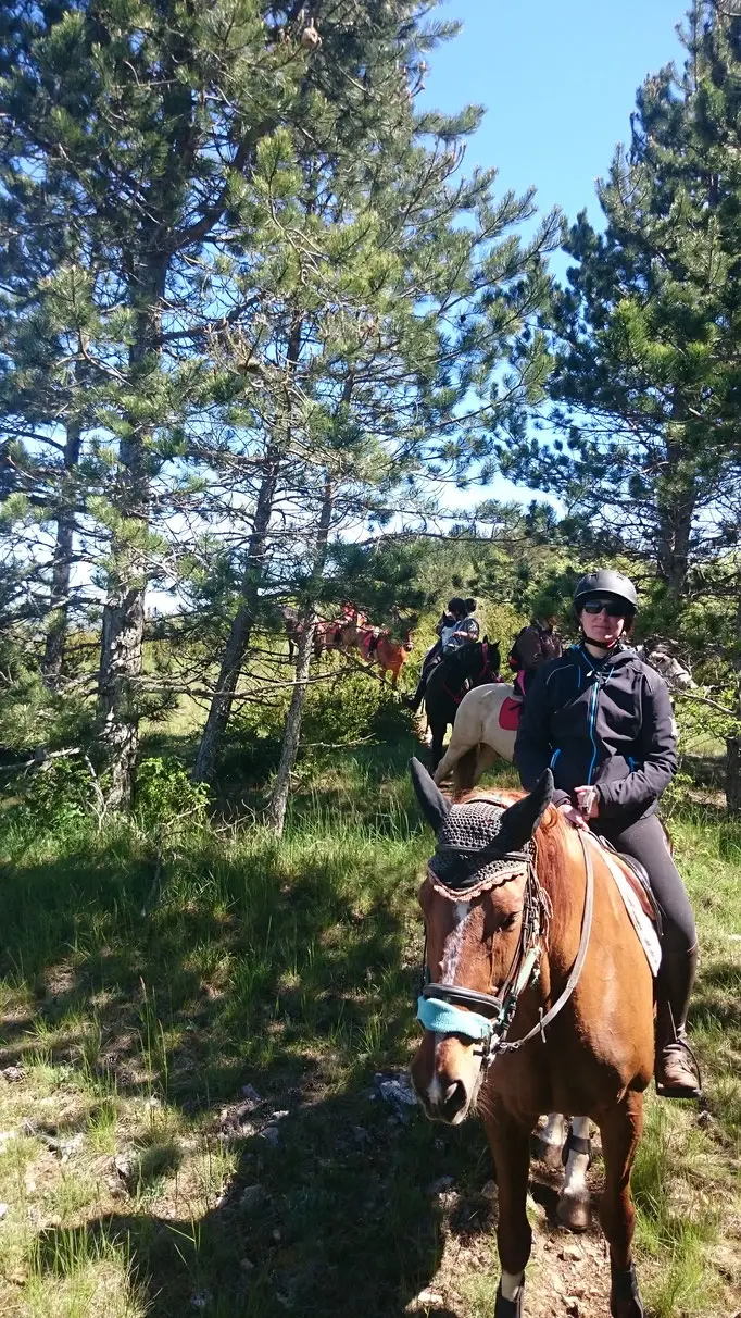 Equestrian Center Le Sonnac
