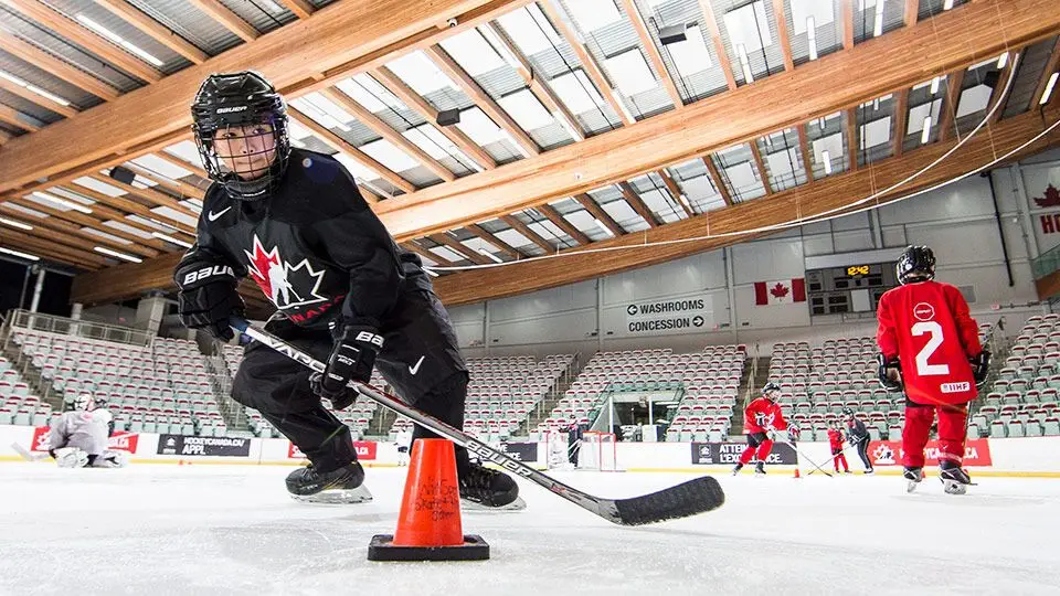 Minor Hockey Alliance Of Ontario