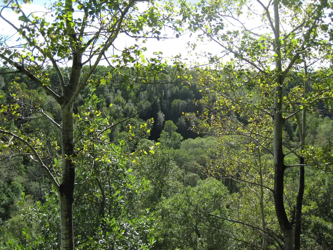 East Gate Trail Hub