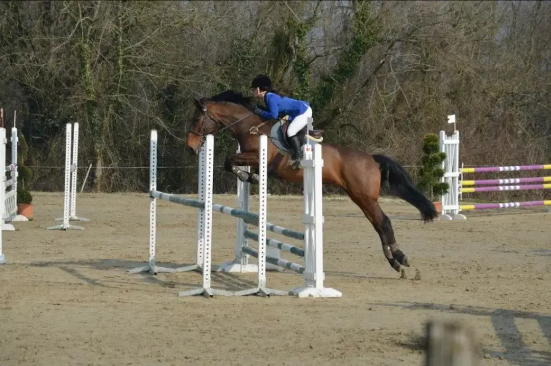 Legende Horse Sport