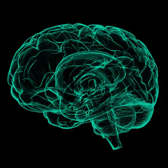 Core Rehab: Neurophysio & Pilates