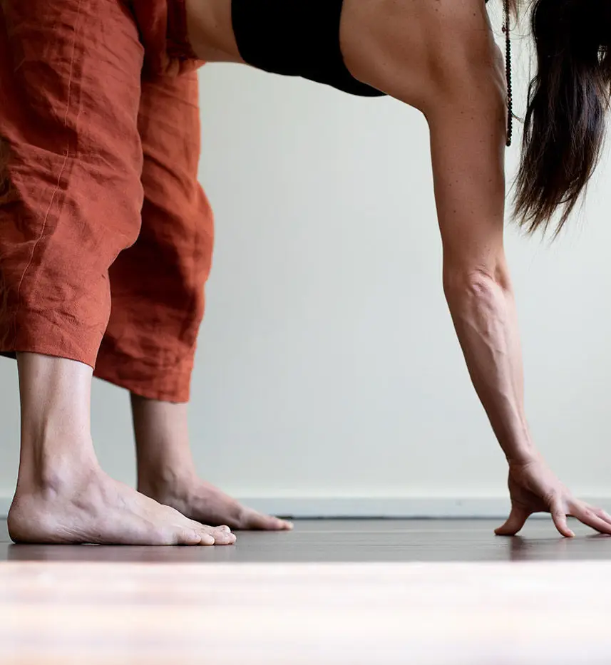 The Yoga Studio