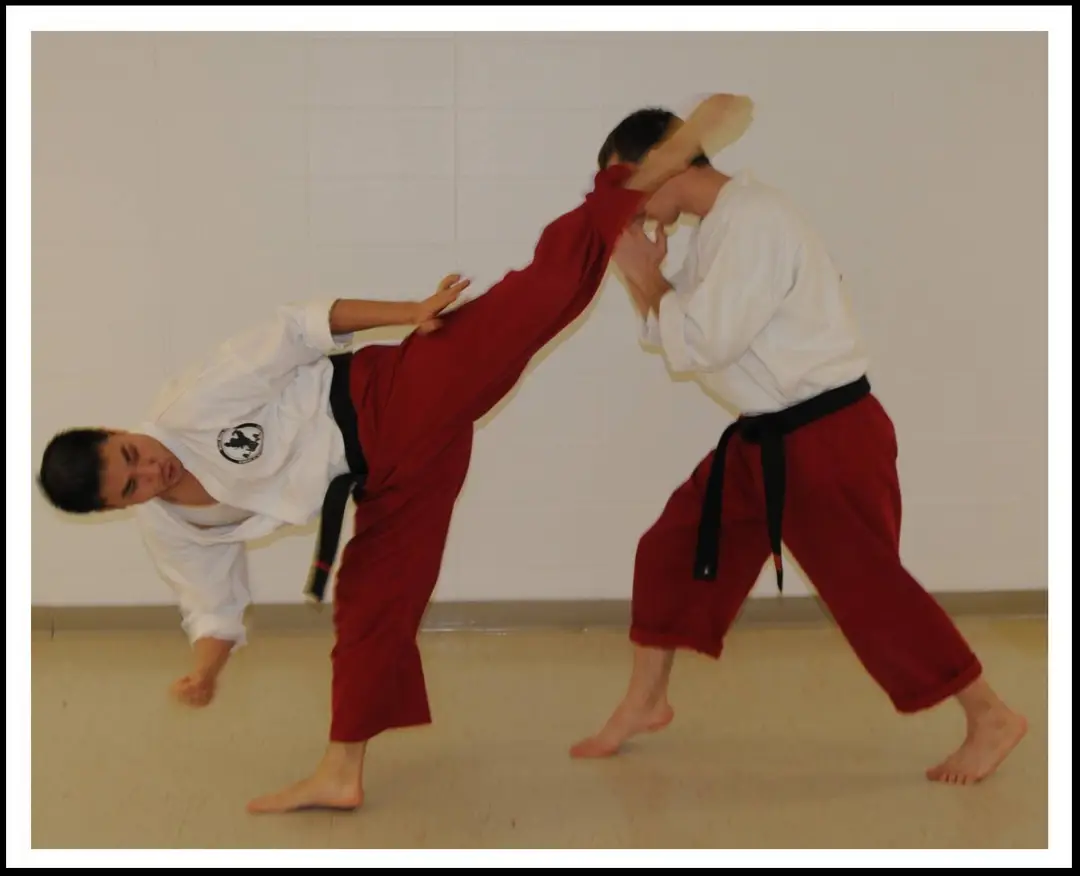 Academy of Integrated Martial Arts