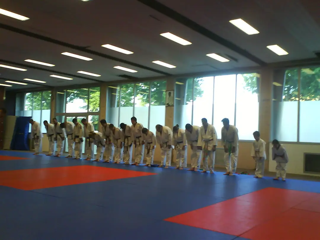 Alvp Judo