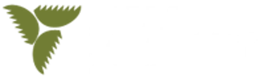 Palm Meadows Driving Range