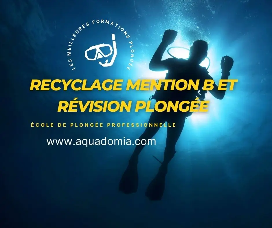 Aquadomia