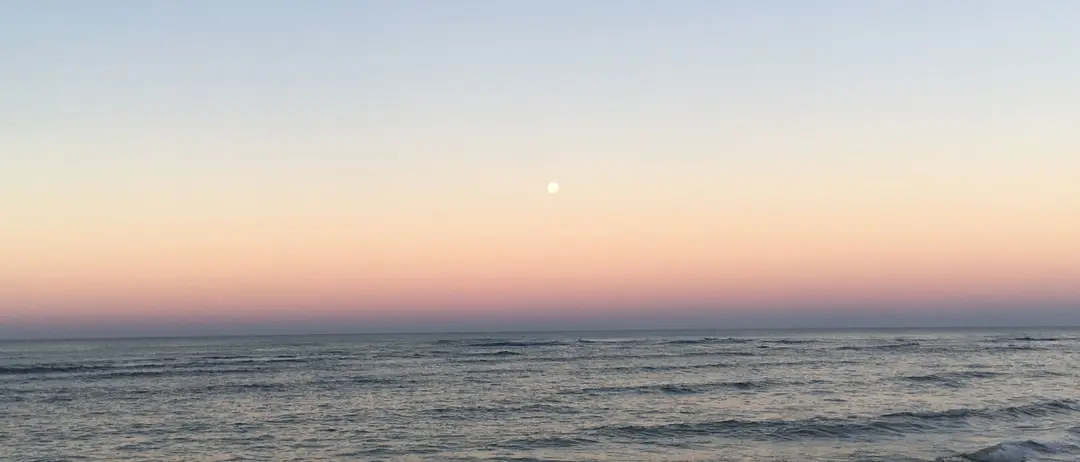 Reset
