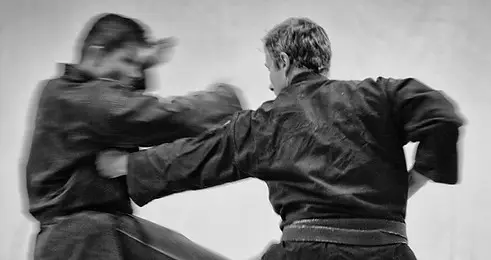 Bujinkan Martial Arts in Central London