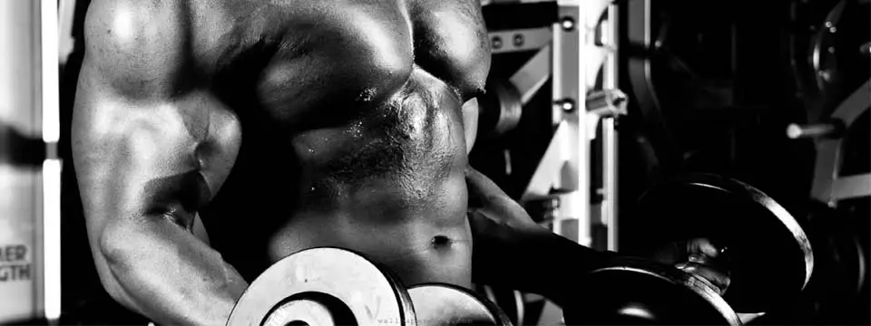 MuscleTech