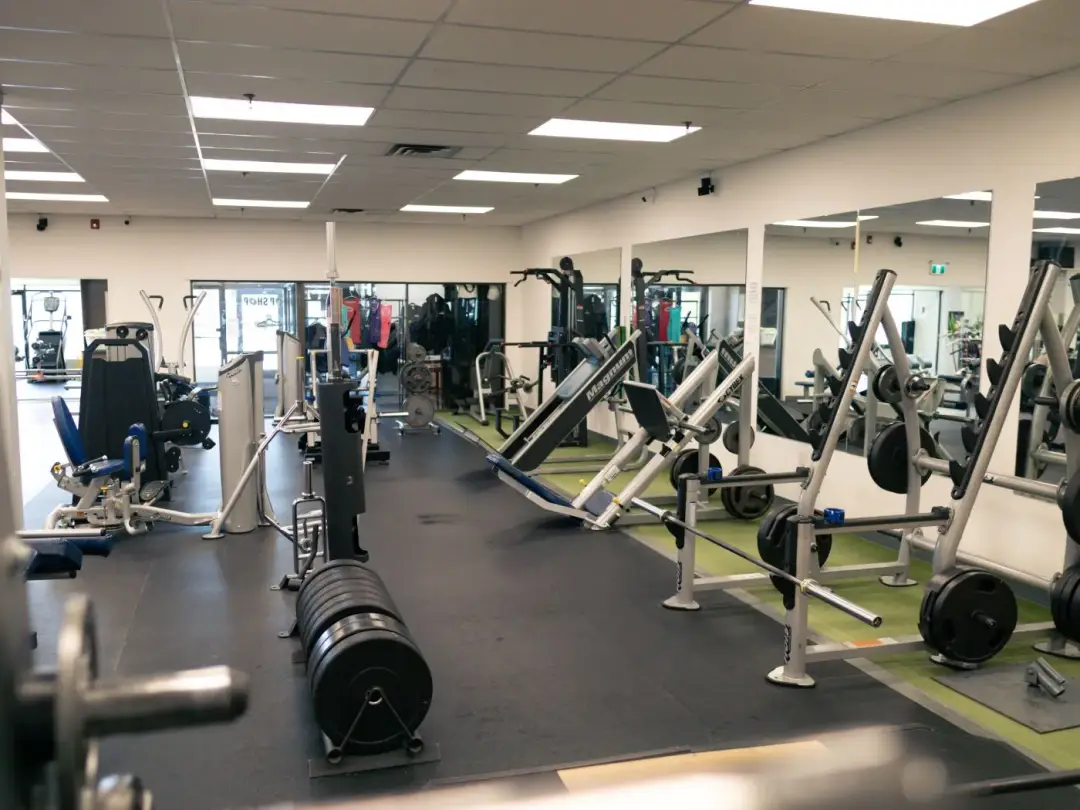 Chop Shop Physiques - Stony Plain