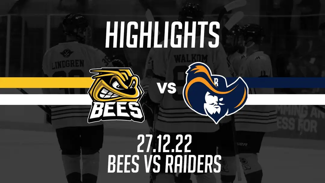 Bees Ice Hockey Club