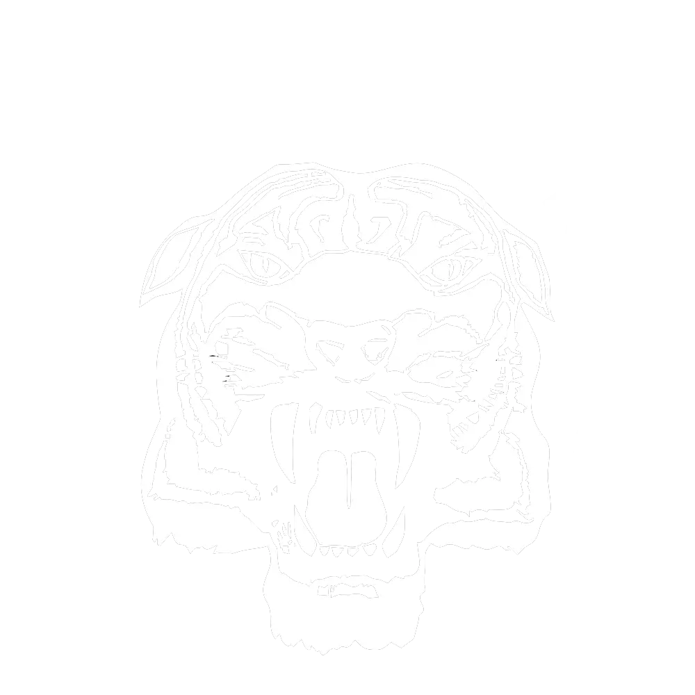 Castleford Tigers RLFC