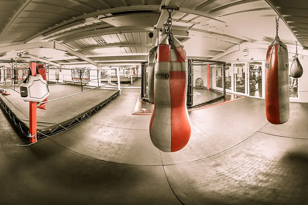Monster Gym