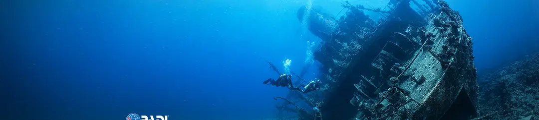 Dive Zone Tauranga