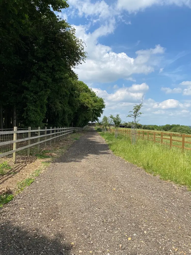 Walx - Thames Valley