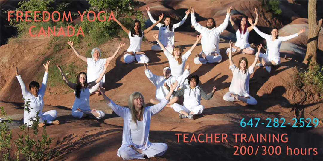 Freedom Yoga