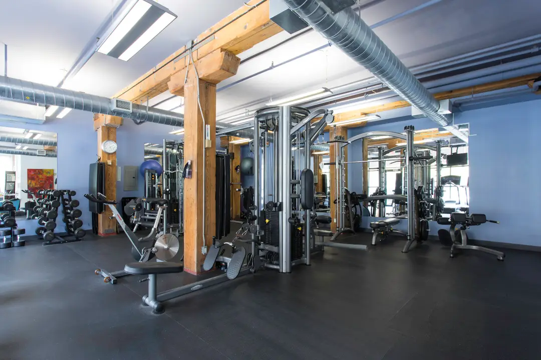 Area Fitness