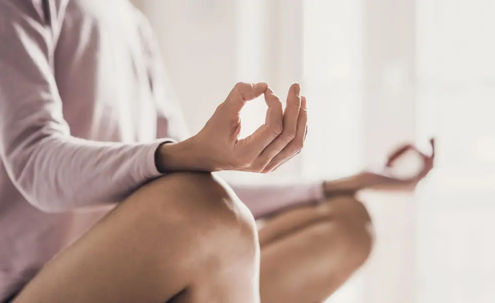 Living Ahimsa ~ Yoga & Ayurveda Wellness Sanctuary
