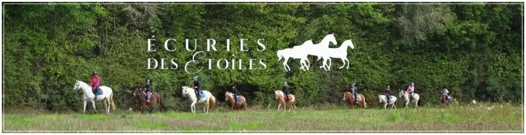 Stalls Des Étoiles