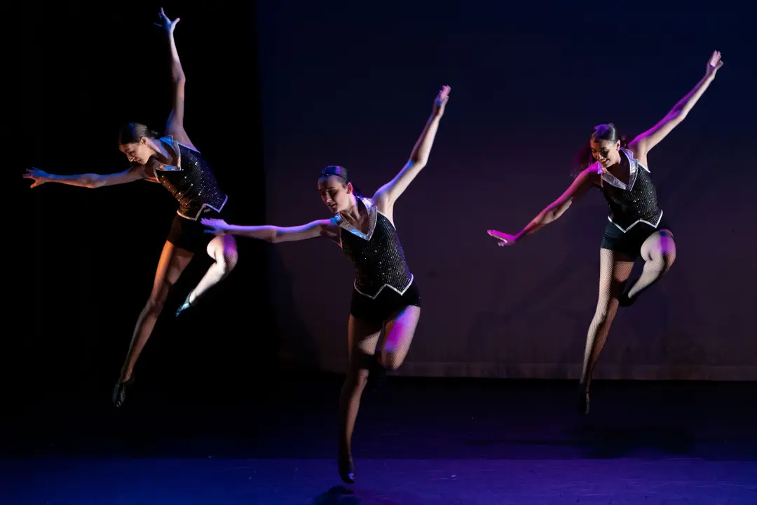 Kingsclere Performing Arts College