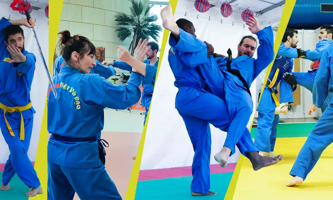Asl Vovinam Viêt Vo Dao