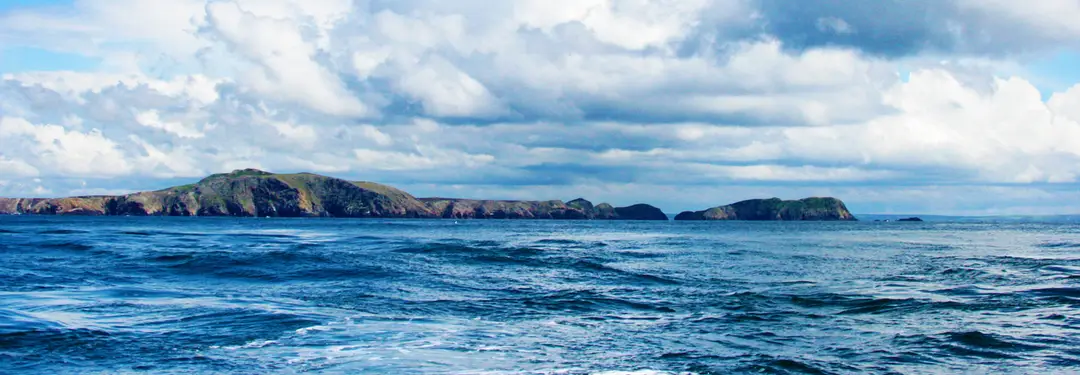 Blue Shark Charters Ltd