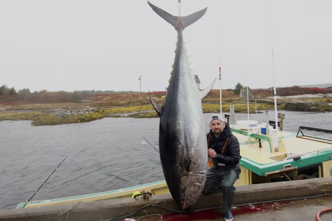 World Record Bluefin Tuna Charters