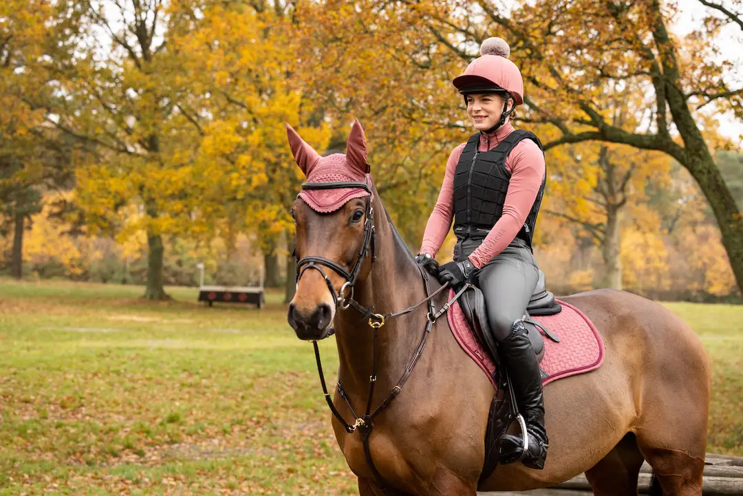 Ayr Equestrian
