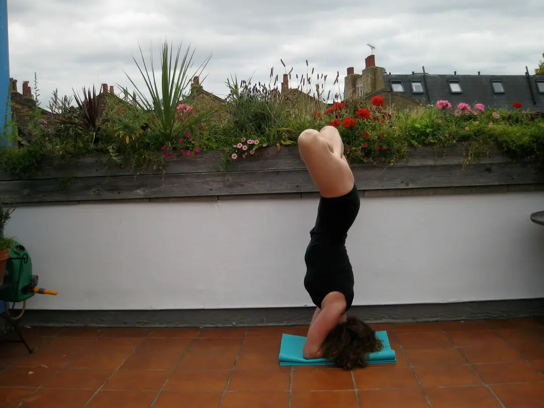 Art of Yoga