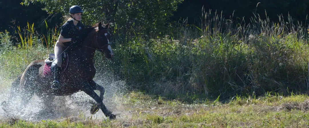 McNab Riding School