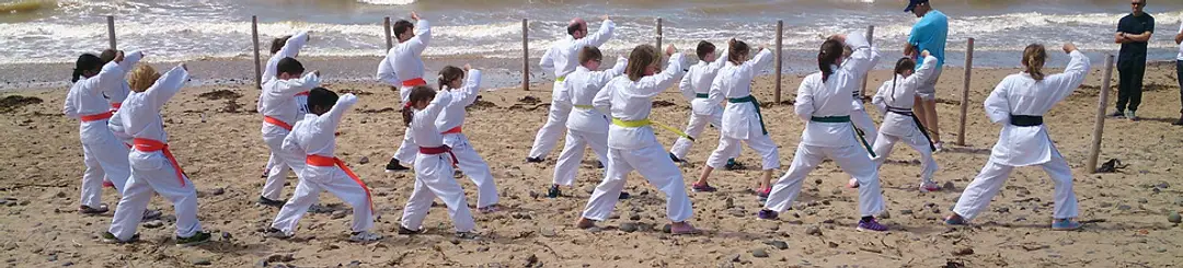 Sanjo Karate