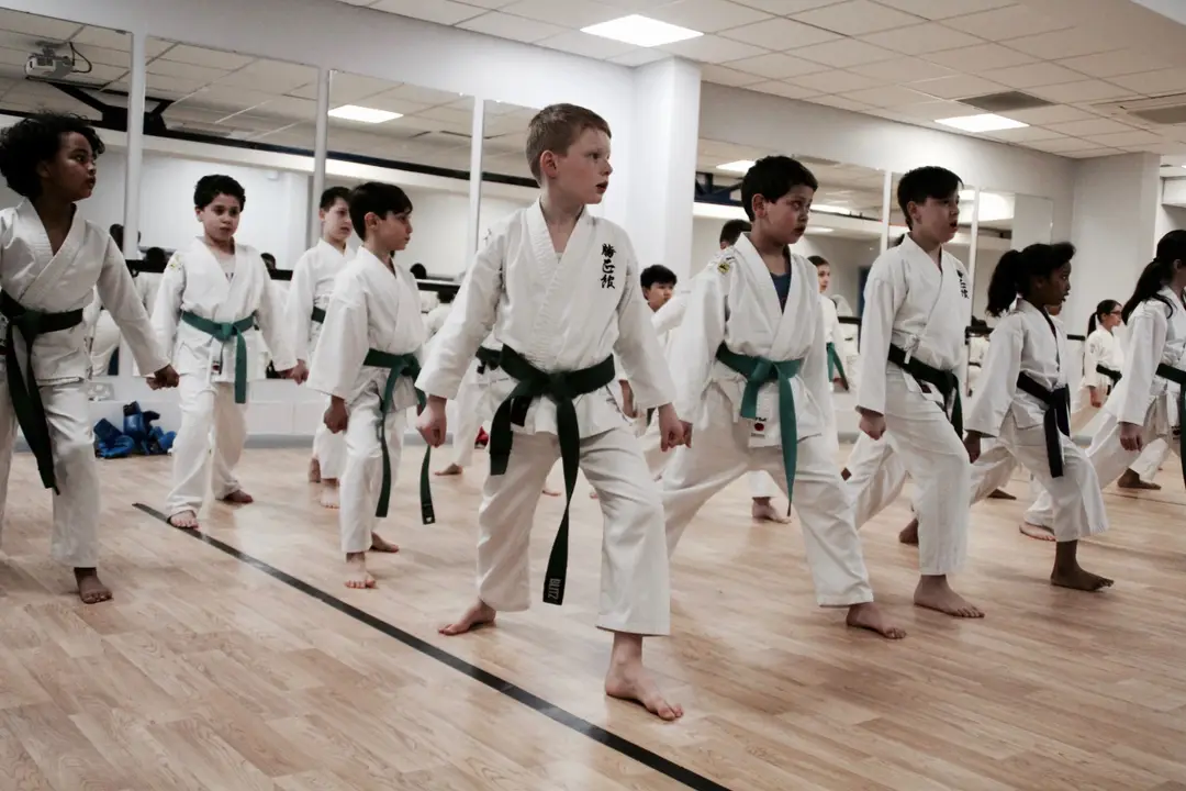 Phoenix Karate School