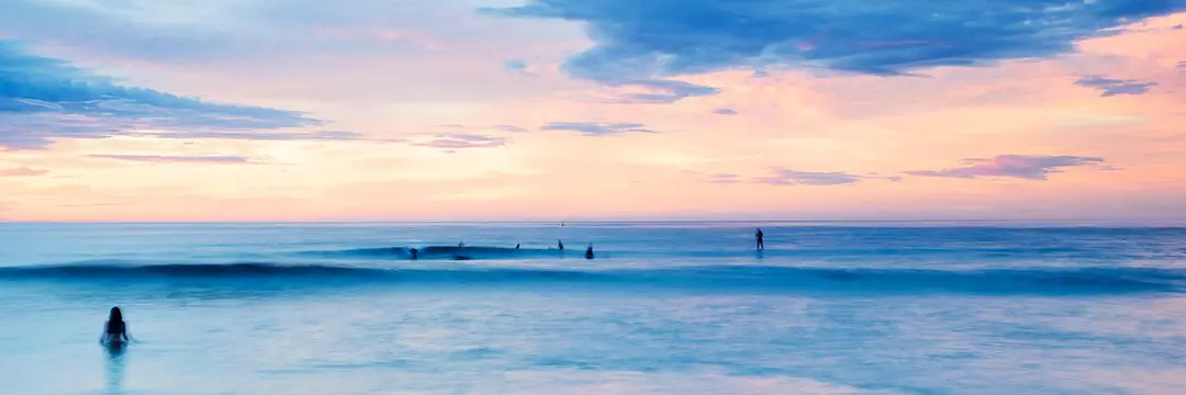 The Well - Bondi