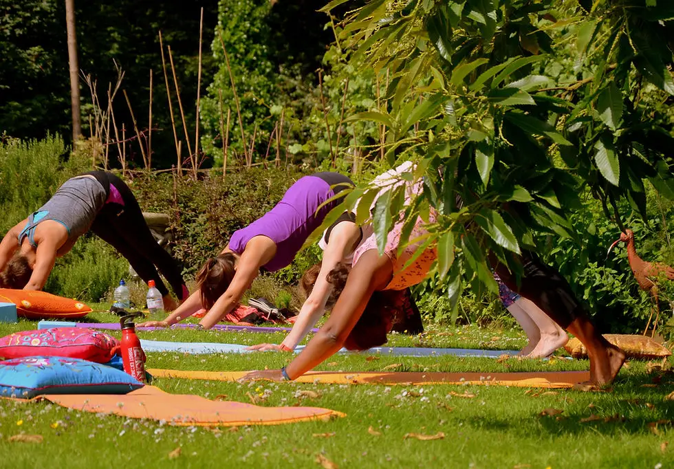 Yoga Berry